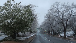 2019-05-09_6984_snow_boulder.jpg