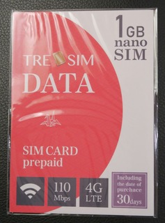 TRE_SIM_1GB_Haneda_3.jpg