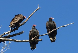 boulder_2018-04_8506.jpg