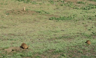 boulder_2018-04_8566.jpg