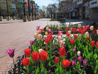 boulder_2018-04_8571.jpg