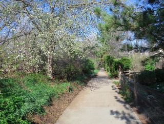 boulder_co_2014-04-20_0080.jpg