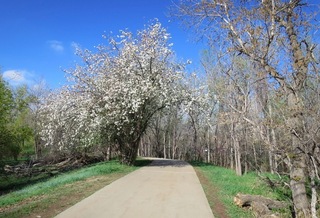 boulder_co_2014-04-20_0092.jpg