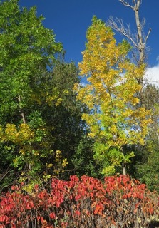 boulder_co_2018-10-03_3.jpg