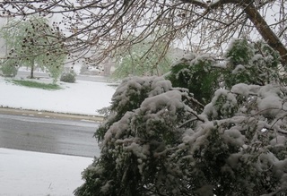 boulder_snow_2016-04-16_0038.jpg
