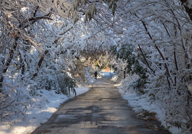 boulder_snow_2019-10_0609.jpg