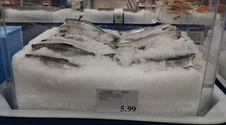 costco_salmon_wild_caught_2019-08_8980.jpg