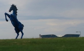 denver_airport_blue_horse_1627.jpg