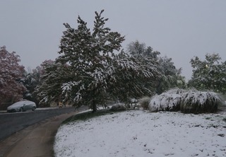 first_snow_2017_boulder_co_2017-10-09_6963.jpg