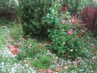 hail_2018-06-18_2.jpg