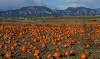 halloween_pumpkin_boulder_co_2017-10_7072.jpg