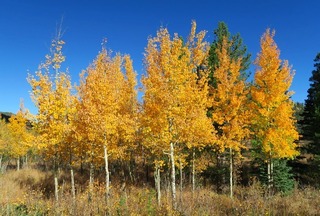lily_lake_co_2016-10_1920.jpg