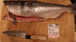salmon_wild_caught_2019-08_8953.jpg