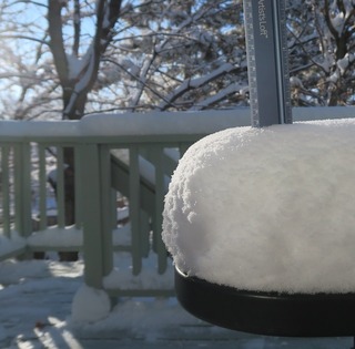 snow_2019-02-07_5593_14cm.jpg