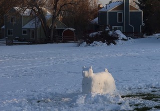 snow_dog_louisville_2020-04_3510.jpg