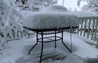 snow_louisville_colo_2020-04_3490.jpg