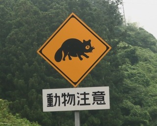 tanuki_sign_2018-07_2295.jpg