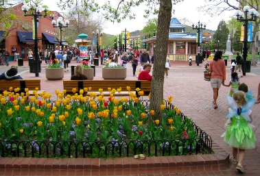 tulip_fairy_2008.jpg