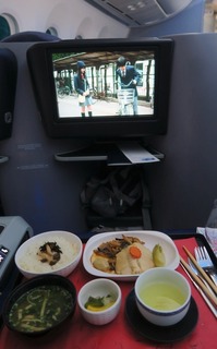 united_denver_narita_2019-06_8046.jpg