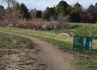 walking_2020-04_3591.jpg