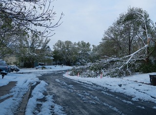winter_storm_louisville_2017-05_4404.jpg